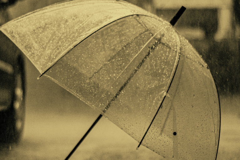 20260112 022509 0000 – image for blog post