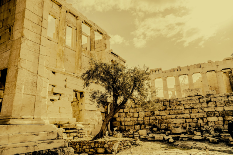 20260112 022956 0000 – image for blog post