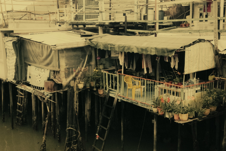 Image for the story: 20260112 025803 0000