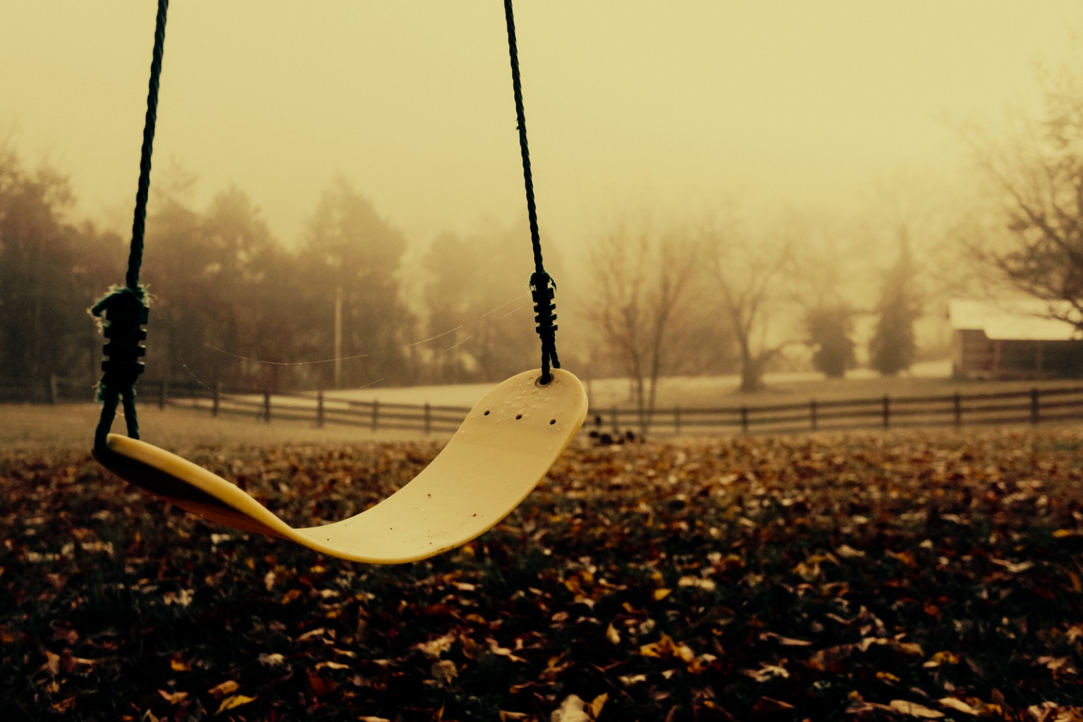 Image for the story: 20260113 184711 0000