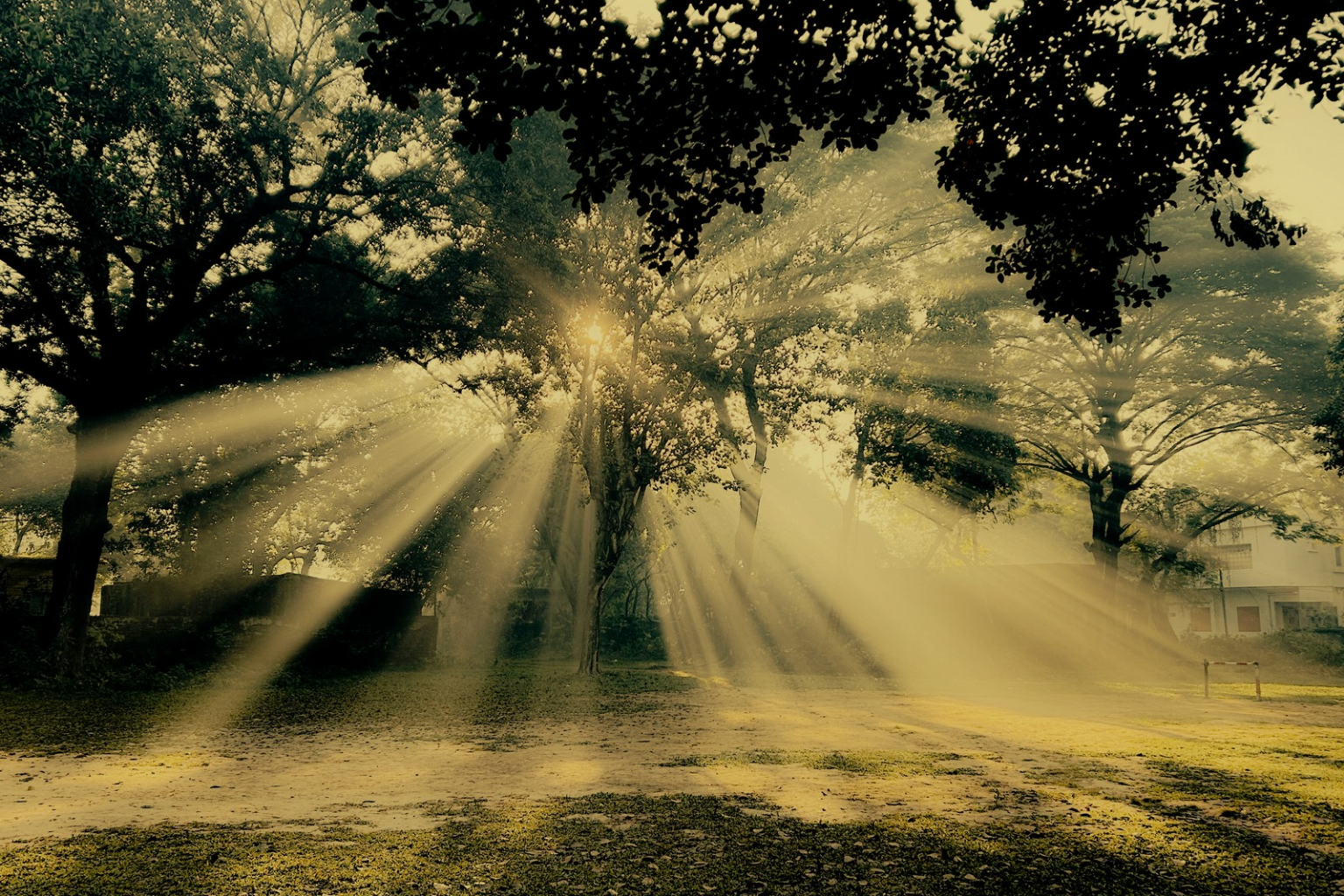 Image for the story: 20260113 190028 0000