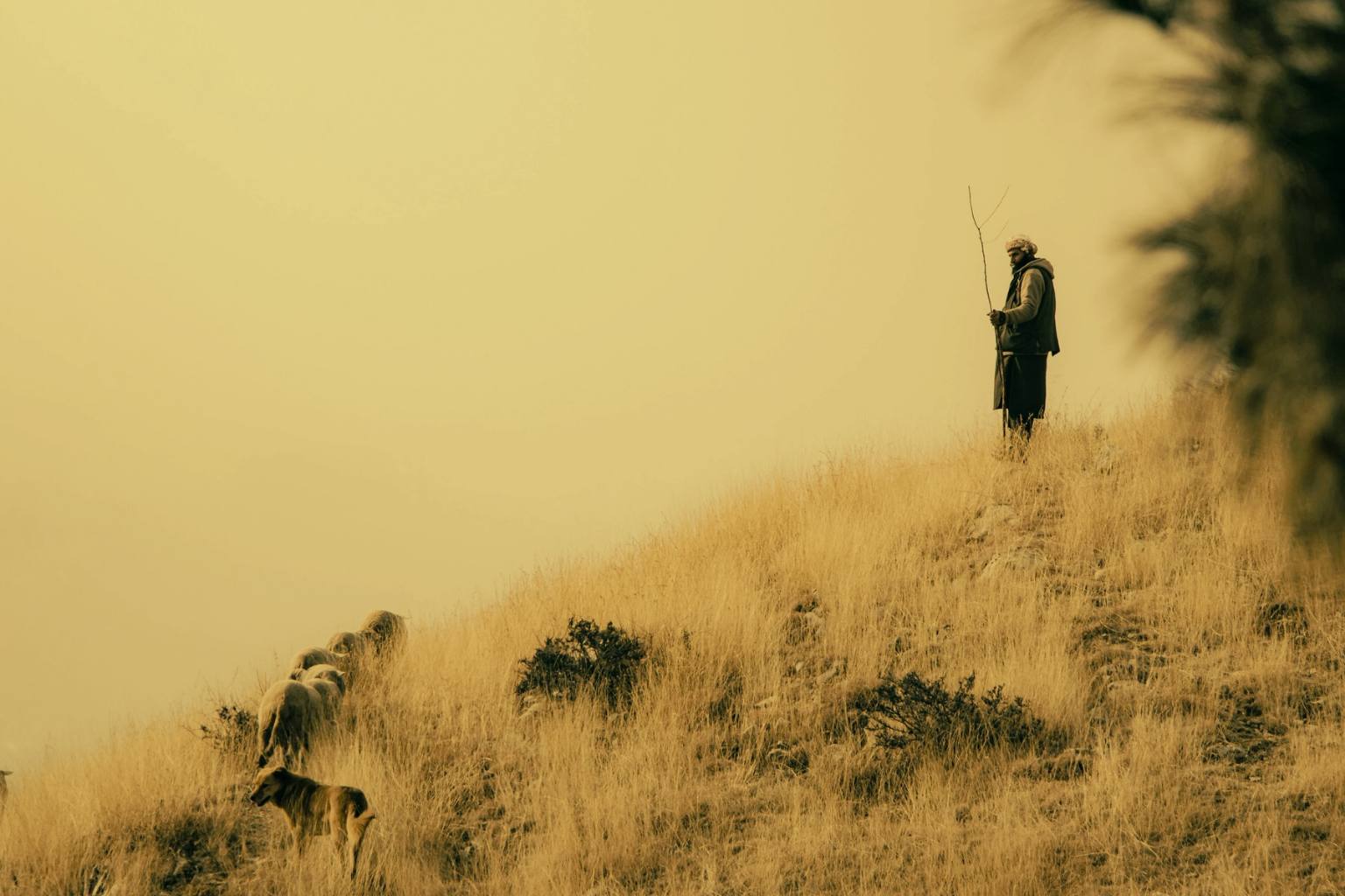 Image for the story: 20260113 192218 0000