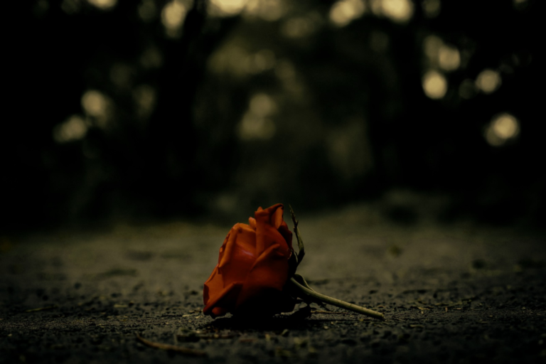 Image for the story: 20260114 004321 0000