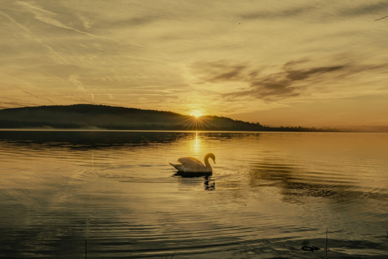 Image for the story: 20260114 005916 0000