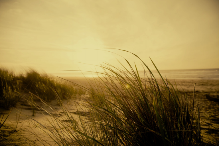 Image for the story: 20260115 170143 0000