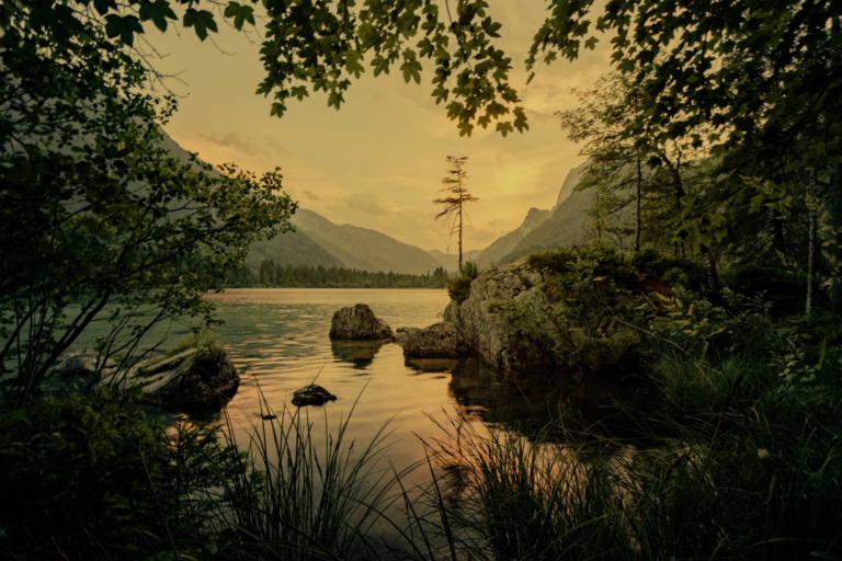 Image for the story: 20260115 174546 0000