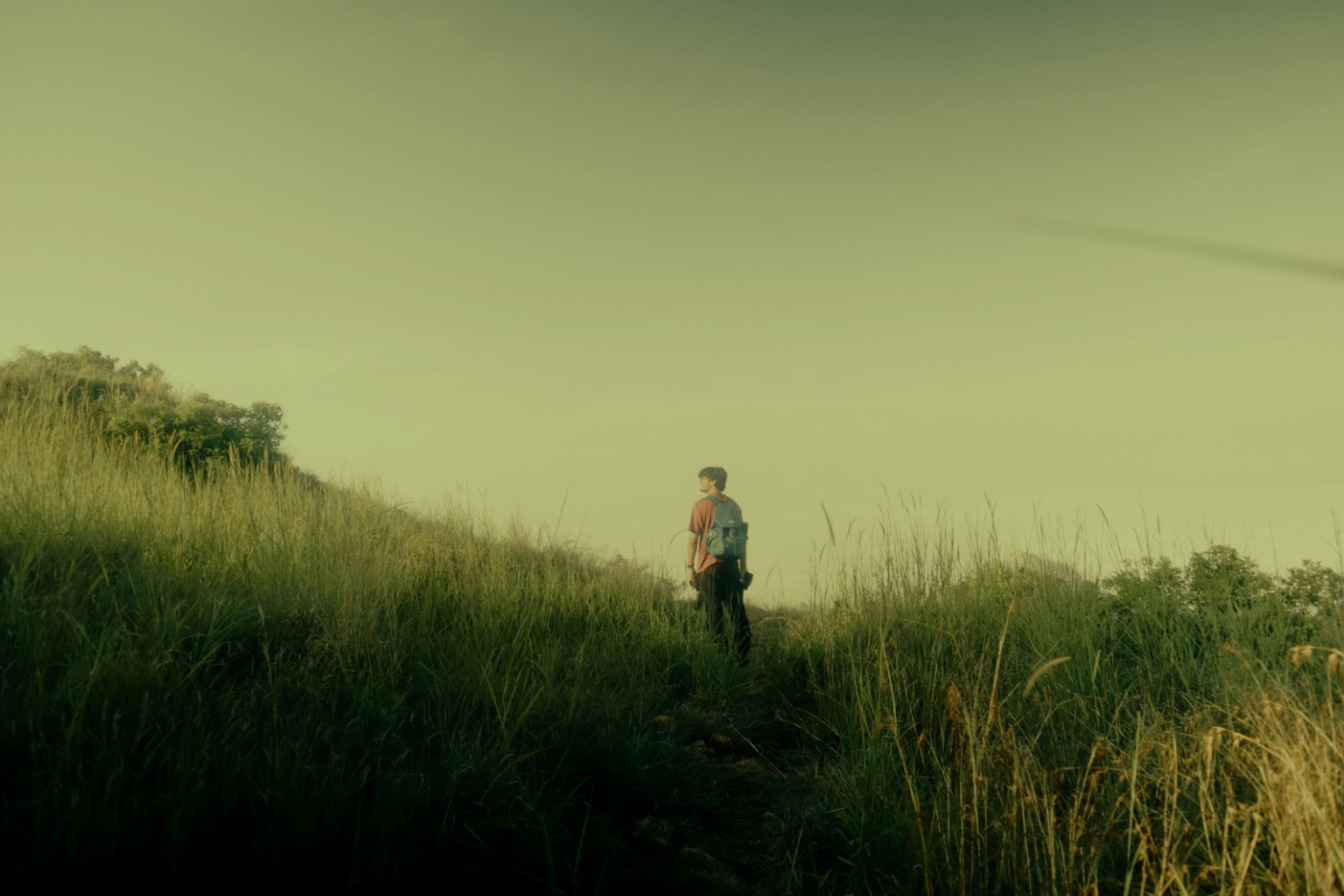 Image for the story: 20260118 164606 0000