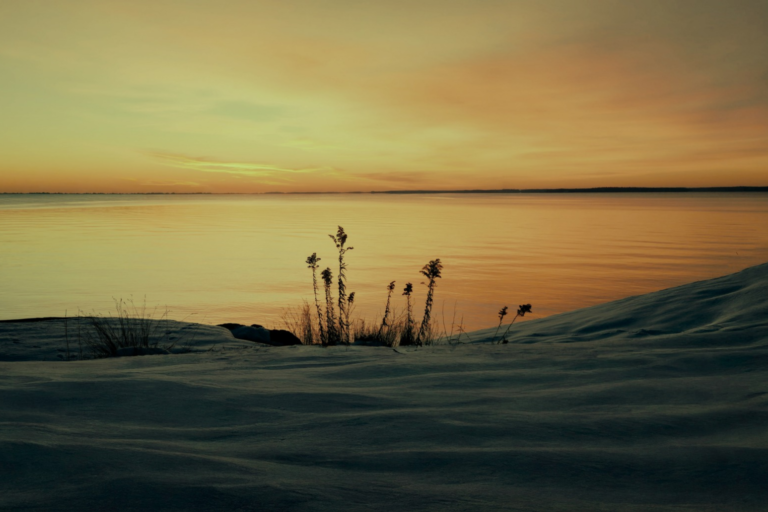 Image for the story: 20260118 170952 0000