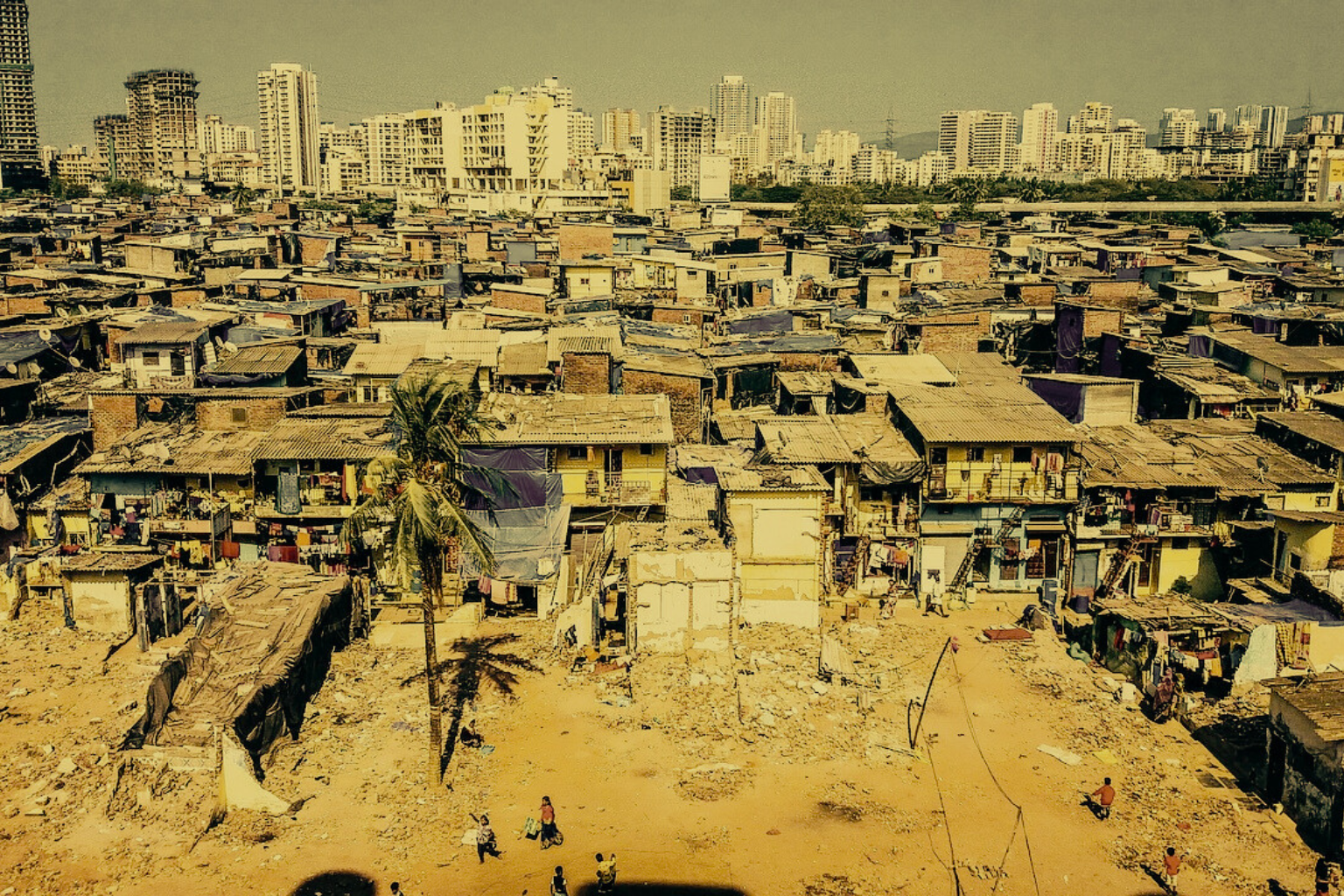 Image for the story: Design Ohne Titel 20260112 045214 0000