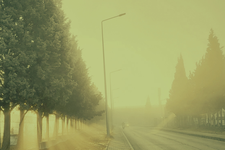 Image for the story: Design Ohne Titel 20260118 180228 0000