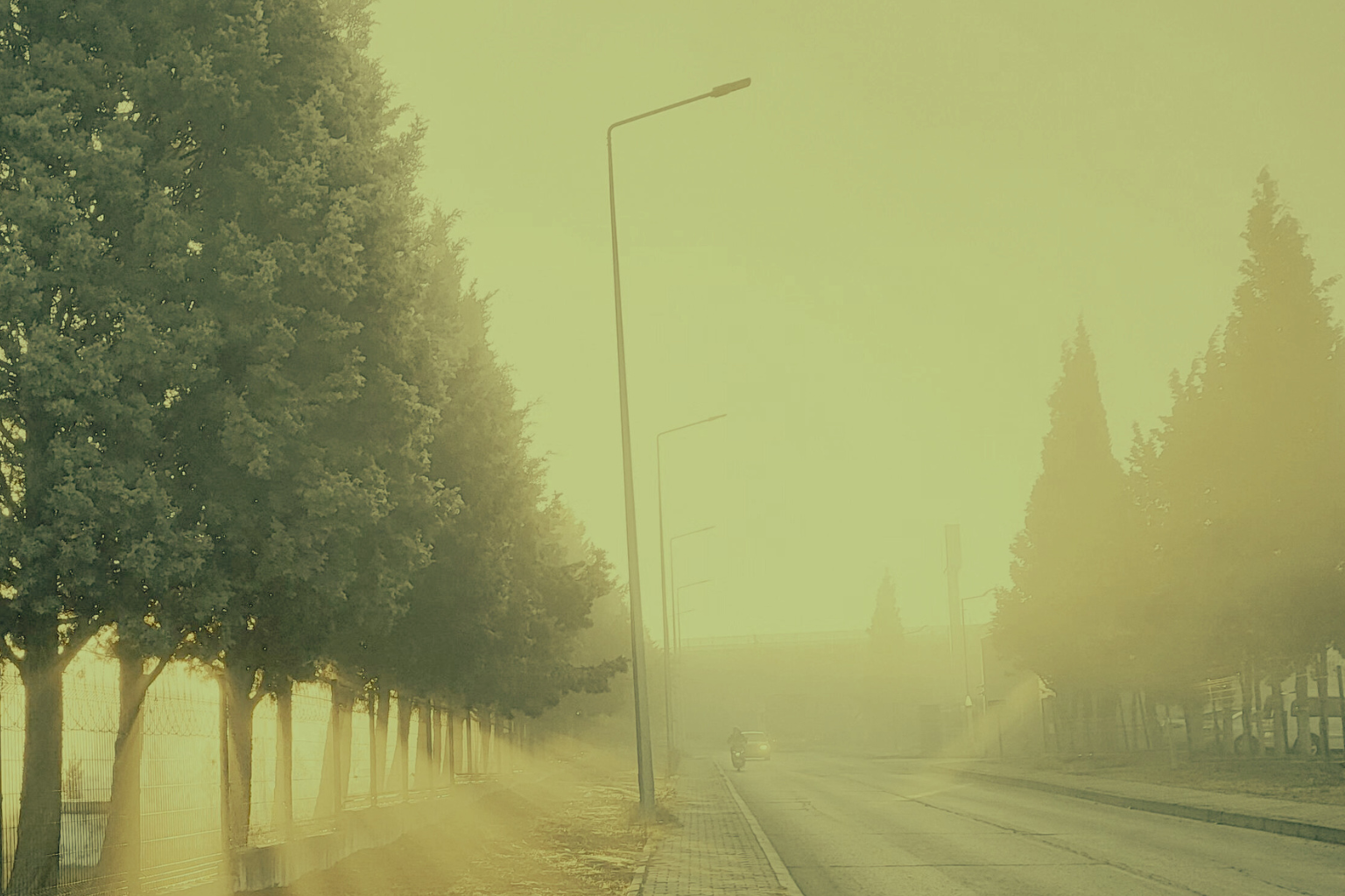 Image for the story: Design Ohne Titel 20260118 180228 0000