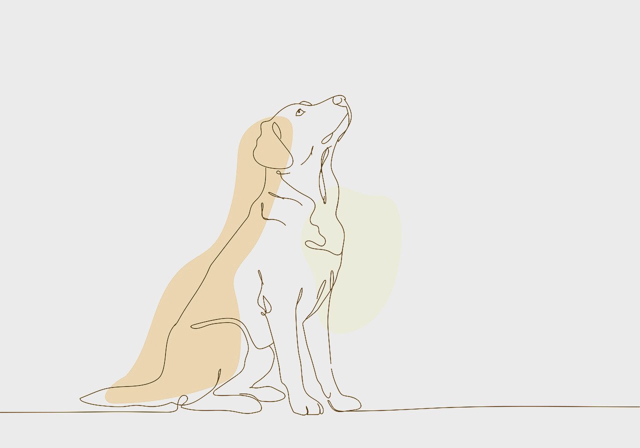 Artistic image illustrating: Auto Draft