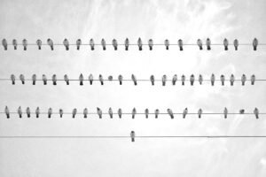 Artistic image illustrating: Auto Draft