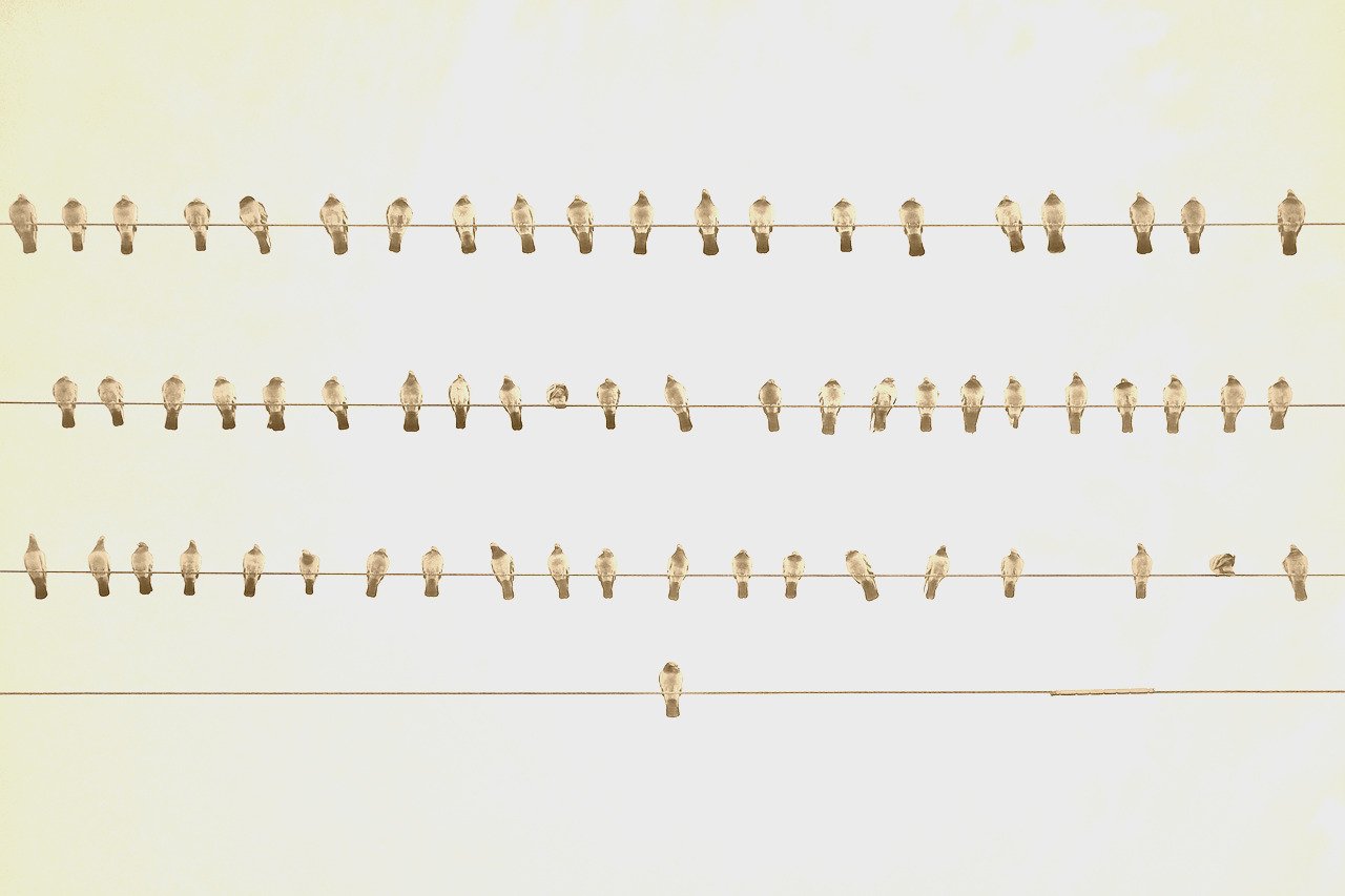 Artistic image illustrating: Auto Draft