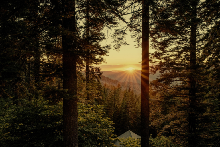 Image for the story: 20260116 171644 0000