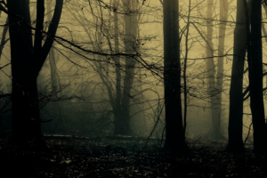 Image for the story: 20260116 221015 0000