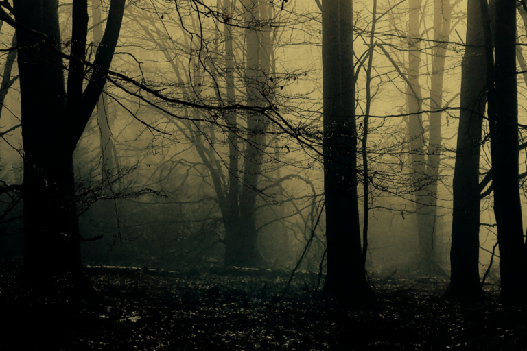 Image for the story: 20260116 221015 0000