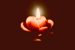 Image for the story: 20260118 000318 0000