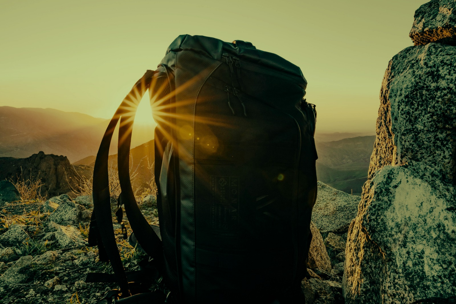 Image for the story: 20260118 155546 0000