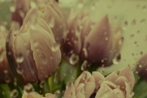 Image for the story: 20260118 160455 0000