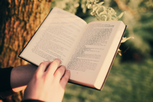 Image for the story: 20260119 003623 0000