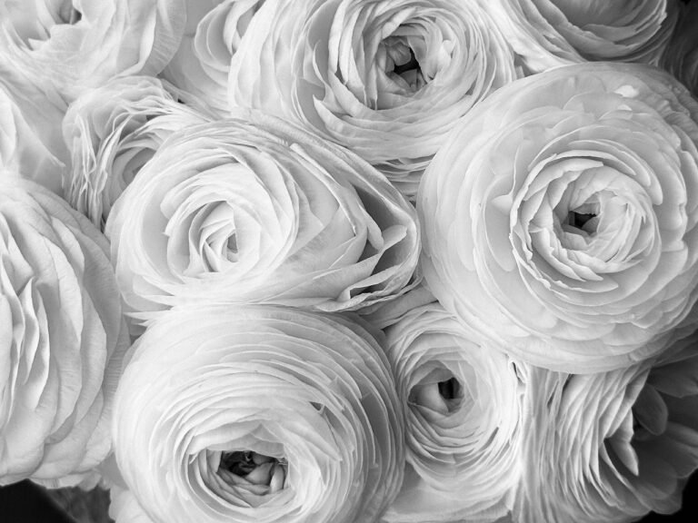 Artistic image illustrating: Auto Draft