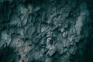 Artistic image illustrating: Auto Draft