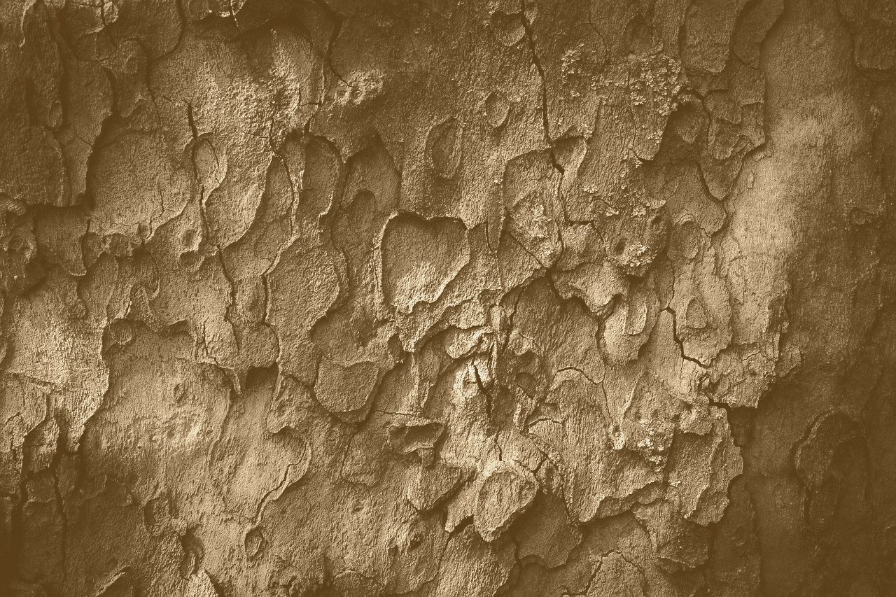 Artistic image illustrating: Auto Draft