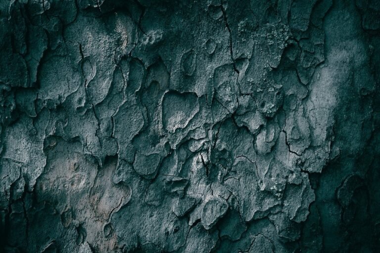 Artistic image illustrating: Auto Draft