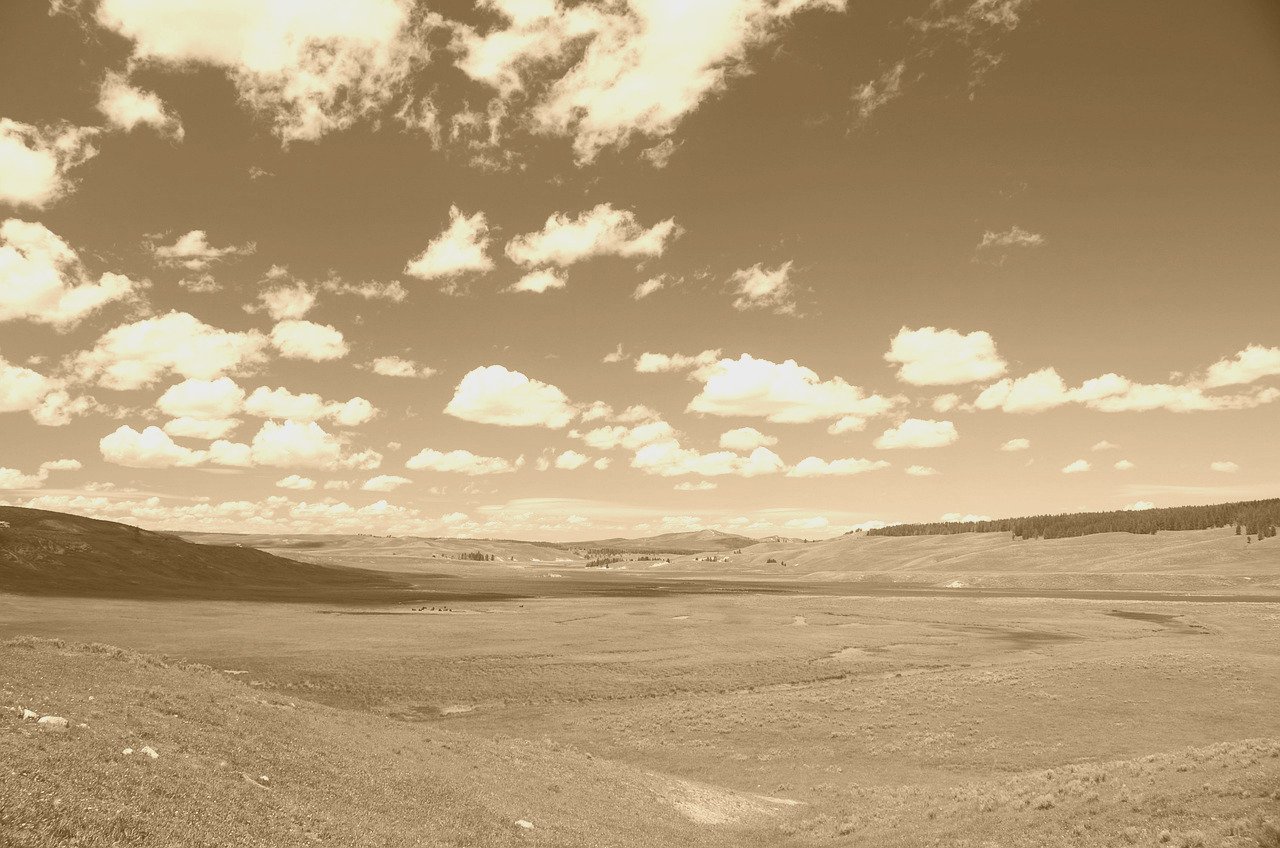 Artistic image illustrating: Auto Draft