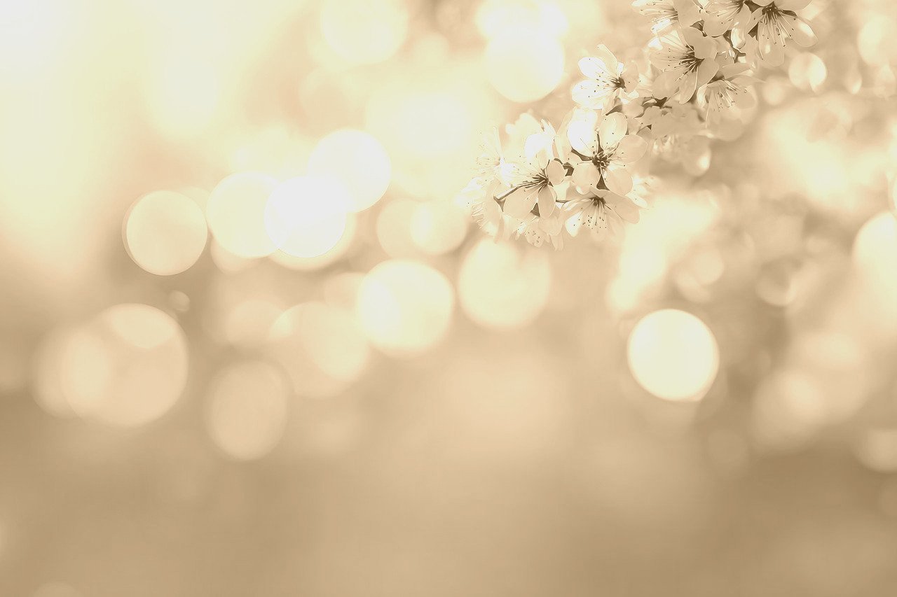 Artistic image illustrating: Auto Draft