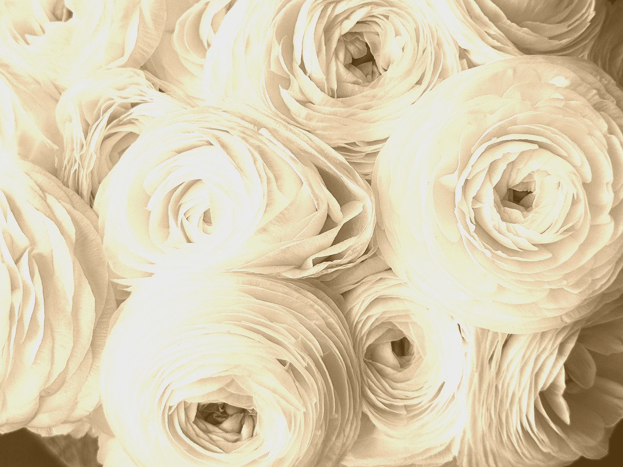 Artistic image illustrating: Auto Draft