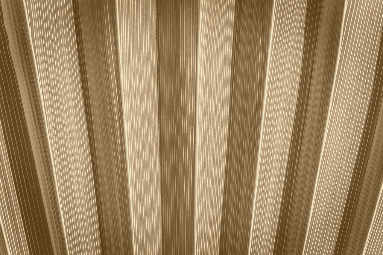 Artistic image illustrating: Auto Draft